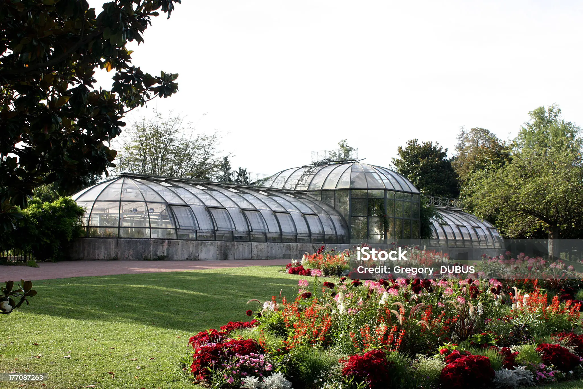 istockphoto-177087263-2048x2048.webp