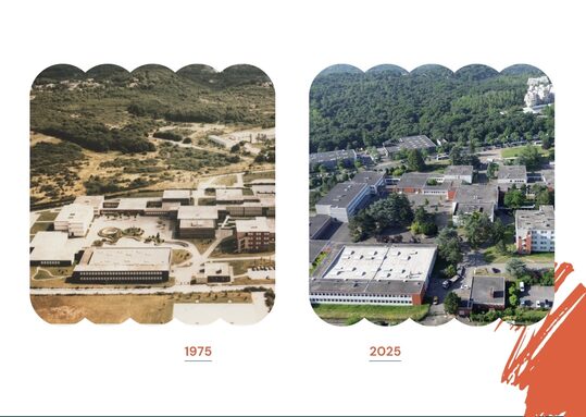 Images lycée.jpg