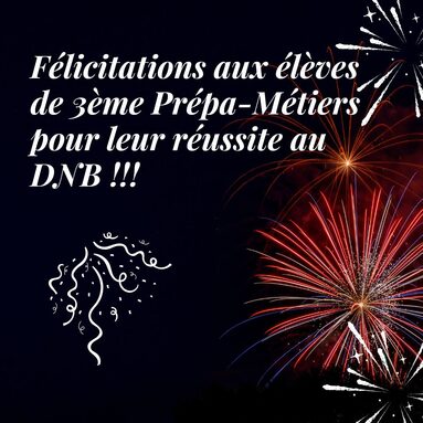 Post instagram 14 juillet fête nationale illustration blanc.jpg